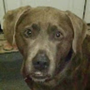 Meet your Posher, Joseph